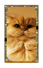 stuffcat_hp stuffcat_hp